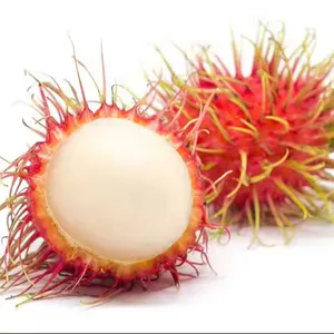 Export Ingeblikte Rambutan Hoge Kwaliteit/Beste Prijs In De Markt 2024