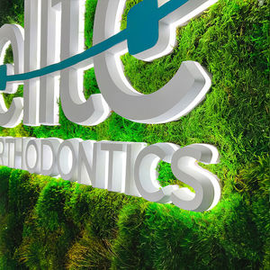 Company 3D Wall Moss Letters Office Sign Interiors Vertical Moss Art Natural Decor Logo Sign para negocios - Product Image 6
