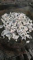 La meilleure matière première de charbon de bois de coquille de noix de coco de qualité directement du Liban pour le narguilé Shisha