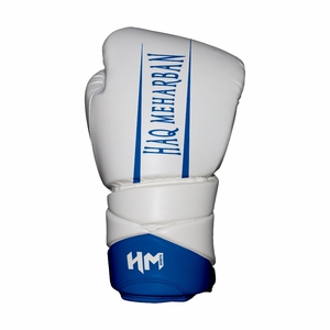 2024 Custom Logo Professional Kick Boxing <b>Gloves</b> Durable PU Leather <b>PVC</b> Punched Sizes 8oz Available for Wholesale - Product Image 1
