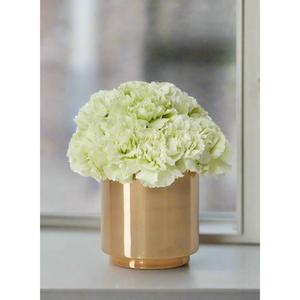 Pot de fleurs en métal finition or classique, design luxueux, parfait pour la décoration de la maison et du jardin, vases et jardinières élégants - Product Image 3