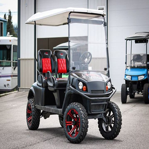 Meilleure vente bricolage industriel OEM voiturette de golf en gros prix direct 75585850 levé 4 passagers en vente - Product Image 3