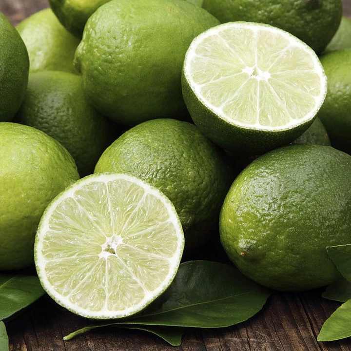 Fresh Green Lemon for Sale Wholesale Premium Farm Fresh Supply Best Price Natural and Juicy Fresh Green Lemon