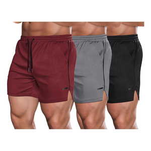 Nouveau été hommes maille Gym musculation décontracté Shorts amples Joggers extérieur Fitness Shorts de plage hommes Shorts de sport - Product Image 4