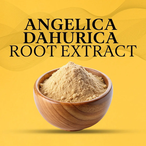 مسحوق خلاصة جذور دونغ كاي مستخرج جذور أنجليكا سينينسيس من OEM/Ligustilide طبيعي عالي النقاء - Product Image 2