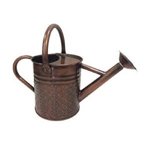 Arrosoir pour plantes en métal galvanisé Pichet pour plantes d'extérieur Maison Arrosoir personnalisé Cadeaux de jardin Outil d'accessoires de jardinage - Product Image 6