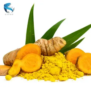 Rempah-rempah ekstrak tanaman keuntungan tinggi harga pabrik bubuk kunyit Vietnam semua alami NON GMO