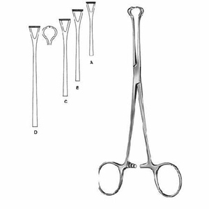 INTESTINOS Y ESTÓMAGO - Product Image 3