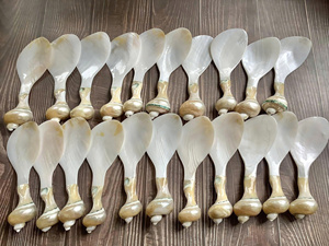Natural Seashell Spoon Handmade For Serving Salads Soups <b>Elevates</b> Dining With Ocean Style - Product Image 2