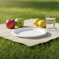 Assiettes et bols jetables ovales écologiques en bagasse 3h Corporation BG-P12100 pour les fêtes