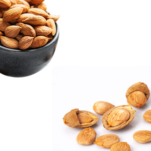 Noyau d'abricot | Utilisé en phytothérapie traditionnelle - Product Image 1