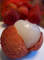Vers Tropisch Fruit Lychee Verse Bestseller Van Vietnam Fruit Zoete En Sappige Lychee Laatste Seizoen Concurrerende Prijs