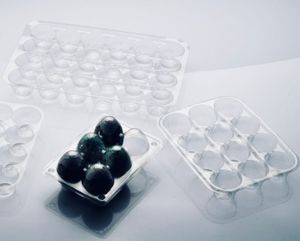 Plastic packaging Egg Tray Recycle Plastic Packaging box customized Food Packaging PET from Manufacturer