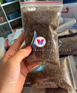 CATERPILLARS SÉCHÉES DE QUALITÉ SUPÉRIEURE EXPORTATEUR EN VENTE EN GROS DU VIETNAM/Katty - Product Image 6