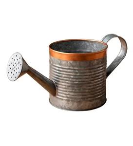 Arrosoir en fer galvanisé Finition étonnante Idéal pour les petits appartements Entretien des plantes et style - Product Image 3