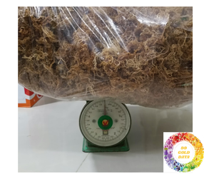 สาหร่ายทะเลแห้ง Eucheuma cottonii จากเวียดนามสาหร่ายไอริชสะอาดสำหรับผิวบรรจุเป็นกลุ่มพรีเมี่ยมสำหรับการส่งออก - Product Image 5