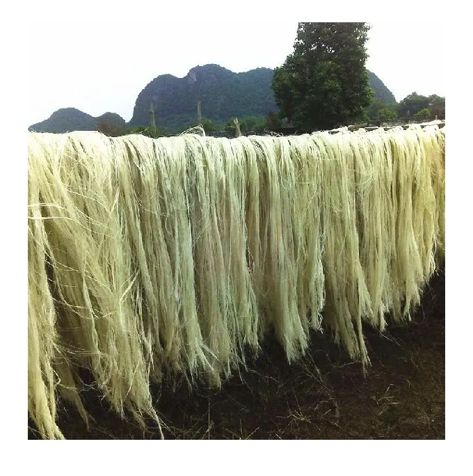 Vente en gros de fibres naturelles de palmier/de Sisal/de noix de coco