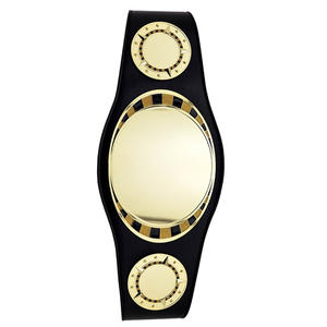 Cinturones de Campeonato de Lucha Libre de Longitud Completa, Recién Llegados, Material de Alta Calidad, Precio Económico - Product Image 4