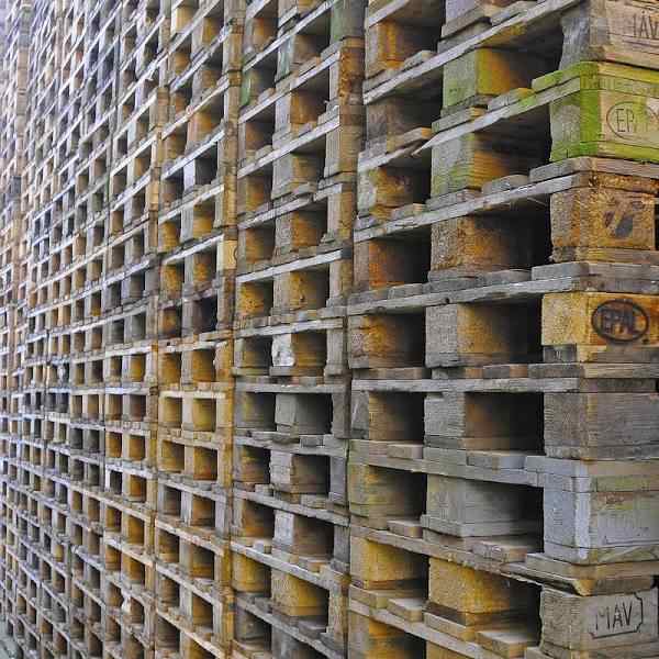 Best made Grade Euro Wooden Pallets All Sizes Available / 1200x1000 Euro Pallet Wholesale Plywood 48 X 40 Wooden Pallet PricE