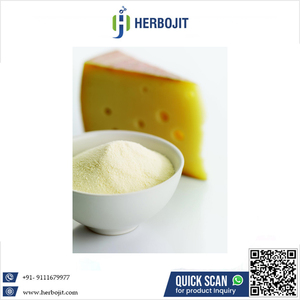 Meilleure offre, nouveau produit populaire, fromage en poudre séché (cheddar) naturel, sain et savoureux à bon prix - Product Image 6