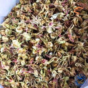Fleur d'artichaut séchée du Vietnam pour une utilisation culinaire dans les ragoûts et les soupes, offrant une saveur authentique d'herbes tropicales aux repas - Product Image 6