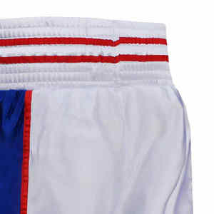 Pantalones cortos MMA Ropa de artes marciales Pantalones cortos de boxeo Mma Ropa DE LUCHA Diseñador Boxeo Diseño personalizado Ropa de entrenamiento Pantalones cortos de boxeo - Product Image 4