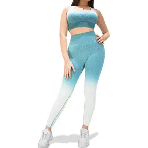 En çok satan bayanlar moda hızlı kuru Slim Fit spor Yoga setleri tam özel Logo kabul bayan spor sütyeni ve Legging seti