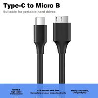 Kabel USB 3.0 Tipe-C ke Micro B 5Gbps Sinkronisasi Data untuk HDD/SSD Eksternal Dilindungi PVC PTE 0.3M/0.5M/1M Kategori Kabel Data