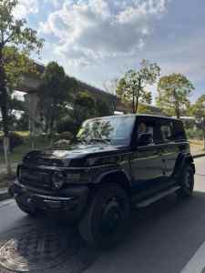 Auto Usado en Venta V23 2025 Ev 301km, Versión Juvenil de Dos Ruedas Motrices, Alta Calidad, en Perfectas Condiciones, Listo para Enviar - Product Image 4