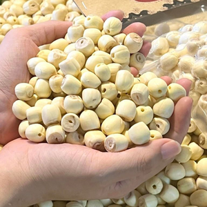 DRIED LOTUS SEEDS WHOLESALE FROM VIETNAM - TOP QUALITY BULK SUPPLY EXPORT - Product Image 4