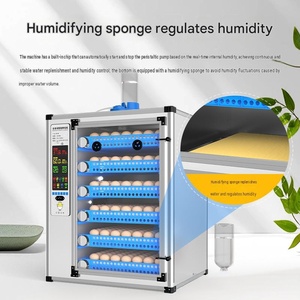 Máquina Automática para Incubar Huevos con Capacidad <span class=keywords><strong>de</strong></span> 0-600 Huevos, Incubadora Multifuncional para Huevos <span class=keywords><strong>de</strong></span> Ganso y Paloma - Product Image 5