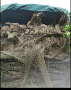 Juego de Escoba y Recogedor de Hojas de Coco y Hierba 100% Natural GIA NGUYEN con Cabezal de Escoba Largo para Limpieza de Jardín al Aire Libre, Origen Vietnam - Product Image 4