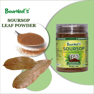 Poudre de feuilles de corossol en vrac Sans conservateurs Graviola Laxman Phal Naturel séché au soleil séché frais - Product Image 2