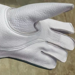 Gants de chasse personnalisés pour la fauconnerie, en Cordura respirant, style gilet, printemps, unisexe - Product Image 1