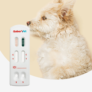 Hızlı hassas algılama ile köpekler için profesyonel veteriner CPV ve CCV Antigen Combo hızlı Test kiti - Product Image 2