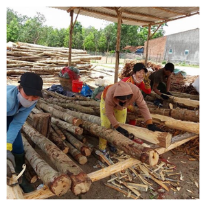 Proveedor de polvo Joss de Vietnam, polvo Joss para la producción de varitas de incienso, quema suave, mezcla limpia, fuente ecológica - Product Image 1
