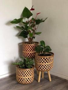 Cesta de maceta de ratán de Diseño Artesanal, decoración interior y balcón, macetas, Mini contenedores de plantas - Product Image 3