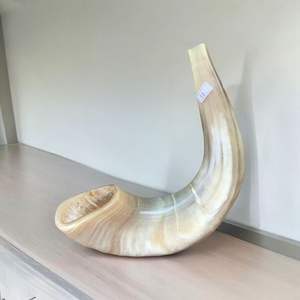 Shofar pulido Kosher GGO de la mejor calidad, cuerno de carnero Natural ecológico para fines religiosos, artesanía de soplado de Shofar - Product Image 6
