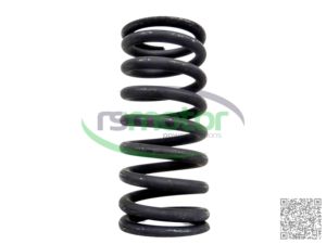 Valve Spring For MWM RS-12280125 for Machinery Engine Parts - Product Image 3