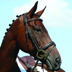 Bridon de cheval SidePull en cuir véritable de haute qualité, conçu sur mesure, avec logo brodé noir, vente en gros auprès des fabricants - Product Image 4