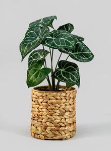 Pot de plante en jacinthe d'eau fait à la main pour l'intérieur et l'extérieur, jardin, salon, balcon, moderne et élégant - Product Image 4