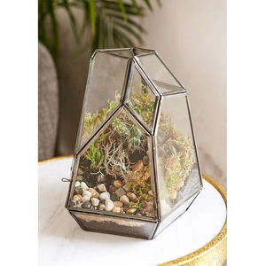 Clear Glass <b>Geometric</b> <b>Terrarium</b> Planter Vase Black Coated Handcrafted <b>Terrarium</b> Vase in Wholesale Prices for Home & Garden Decor - Product Image 6