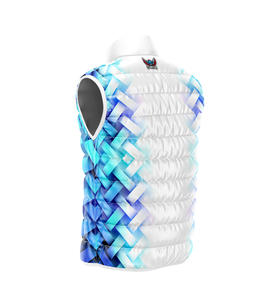 Chaleco de invierno con cuello levantado para hombre con capucha, chalecos de lona acolchados con burbujas, chaqueta al por mayor, chaleco acolchado de lona en blanco - Product Image 2