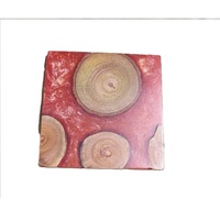 Planche à fromage en bois, ensemble de planches à découper, écologique, style moderne, fait main, taille personnalisée, épaisseur 2,0 cm, pour cafés et restaurants