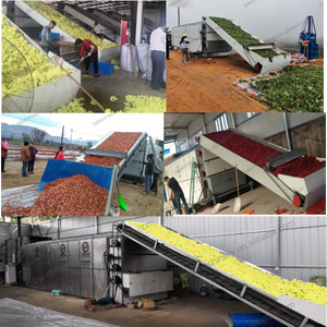 Máy Móc Nông Nghiệp Máy Sấy Hạt Lúa Ngô Sản Lượng Lớn Máy Sấy Hạt Lúa Ngô Máy Sấy Hạt - Product Image 5