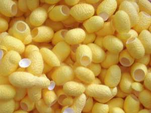 100% Natural Silk Cocoon Facial Exfoliators-Premium Grade for Cleansing, Smoothing Skin Texture, and <b>Enhancing</b> Radiance - Product Image 4