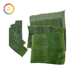 Feuilles de bananier surgelées IQF de haute qualité, vertes et fraîches, flexibles après décongélation, prix de gros - Product Image 5
