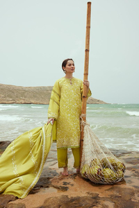 Listo para usar vestidos casuales de Verano Indio pakistaní estilo de fiesta vestidos de mujer parche bordado trabajo hermoso vestido - Product Image 4