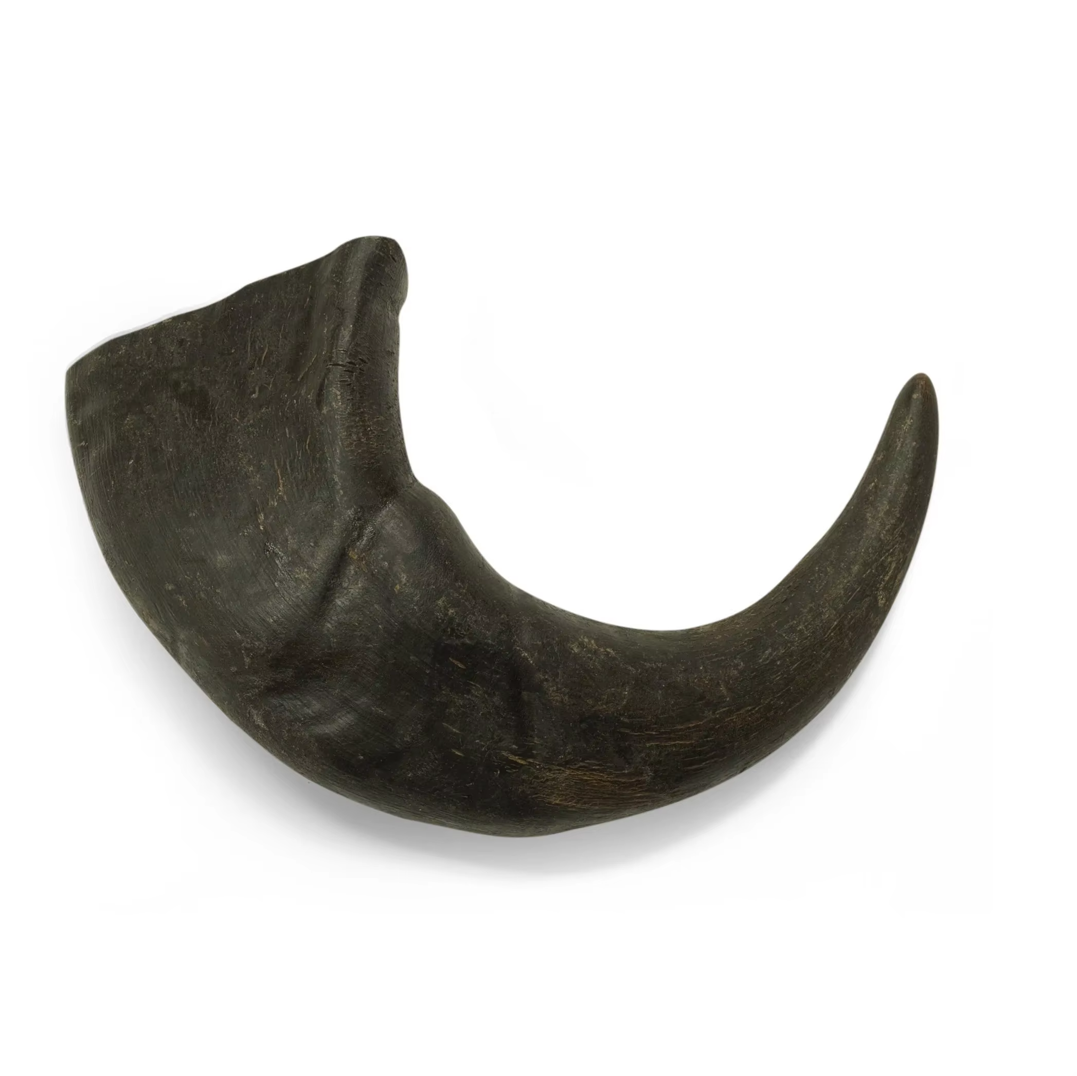 ธรรมชาติ