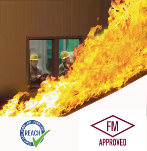 น้ำมันไฮดรอลิกทนไฟได้รับการอนุมัติ32 46 68 FM - Product Image 2